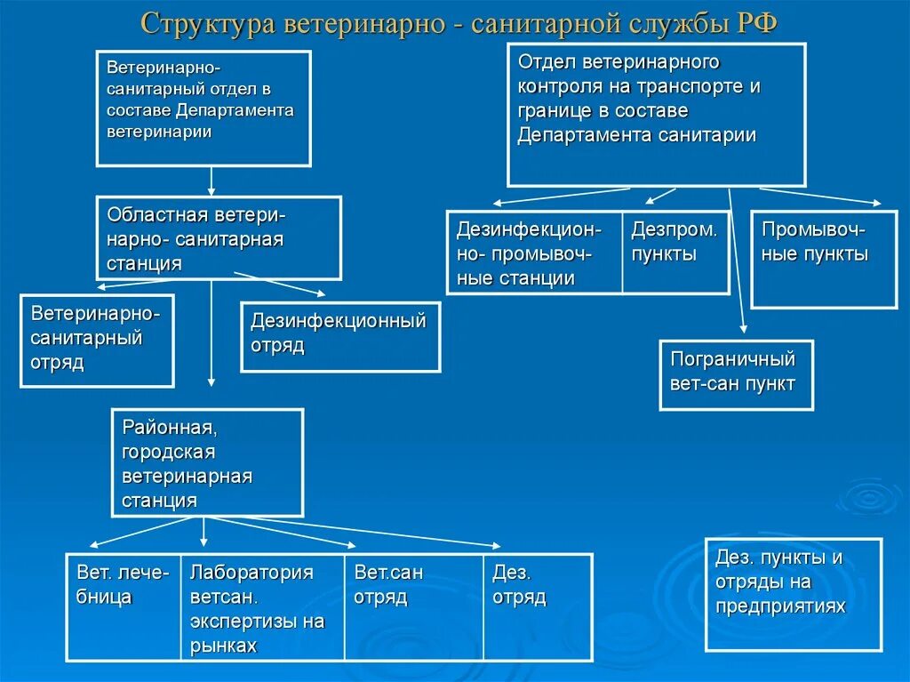 Система органов ветеринарии. Структура управления ветеринарии. Структура государственной ветеринарной службы. Система органов ветеринарии. Структура гос вет службы.