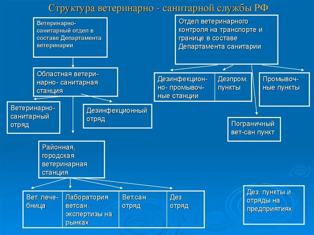 Организационная структура ветеринарной службы в РФ. Структура организации ветеринарии в РФ. Структура ветеринарной службы РФ схема. Структура государственной ветеринарной службы в России.. Государственные учреждения ветеринарной станции