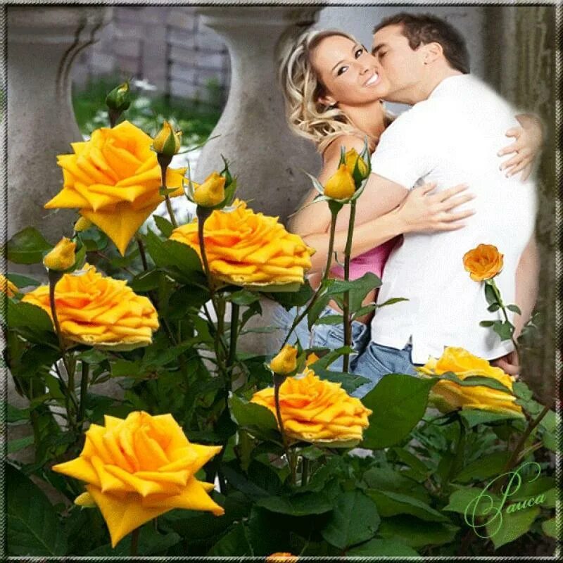 Цветы для влюбленных. Женщина с желтыми розами. Любовь в цветах. Цветочный поцелуй. Видео песни дарите женщинам цветы