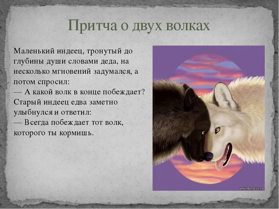 Притча о двух волках. Притча про двух Волков. Притча о волках. Притча про Волков. Смысл притчи два меча