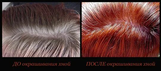 Басма хна какой цвет получиться. Окрашивание хной седых волос. окрашивание седых волос хной до и после. хна и басма на седые волосы. окрашивание седых волос после хны.