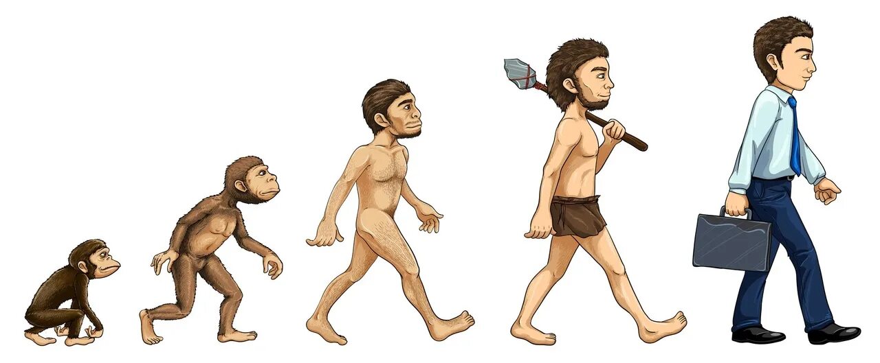 Человек превращается в ребенка. Эволюция человека хомо сапиенс. Эволюция современного человека. Развитие человека. Человек развивается.