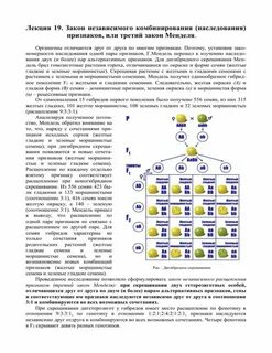 Признаки наследуются независимо друг от друга
