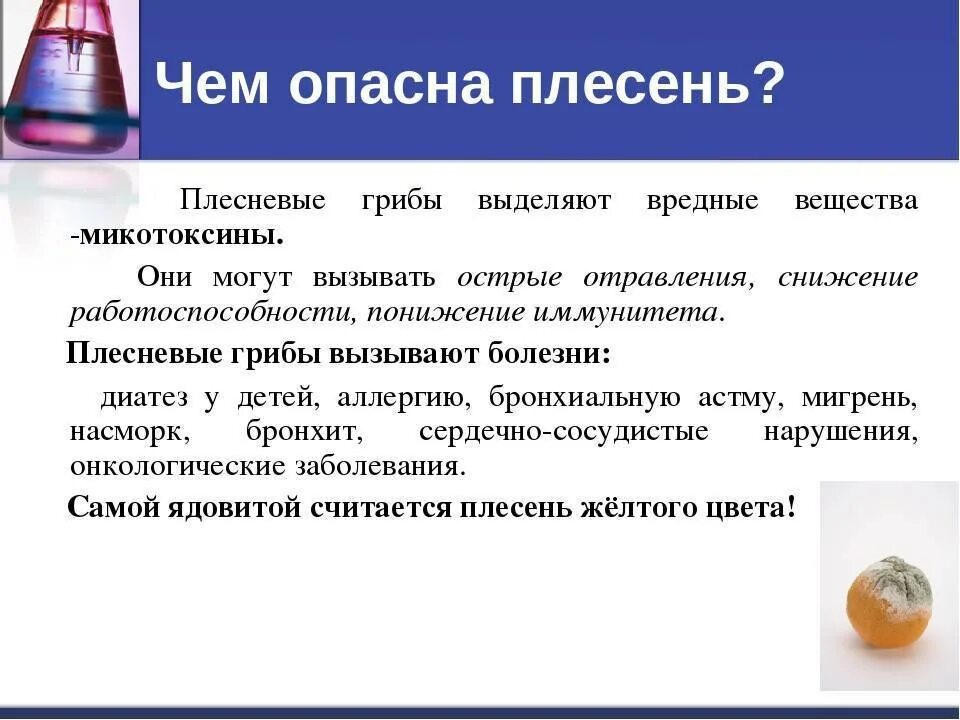 Как избежать плесени
