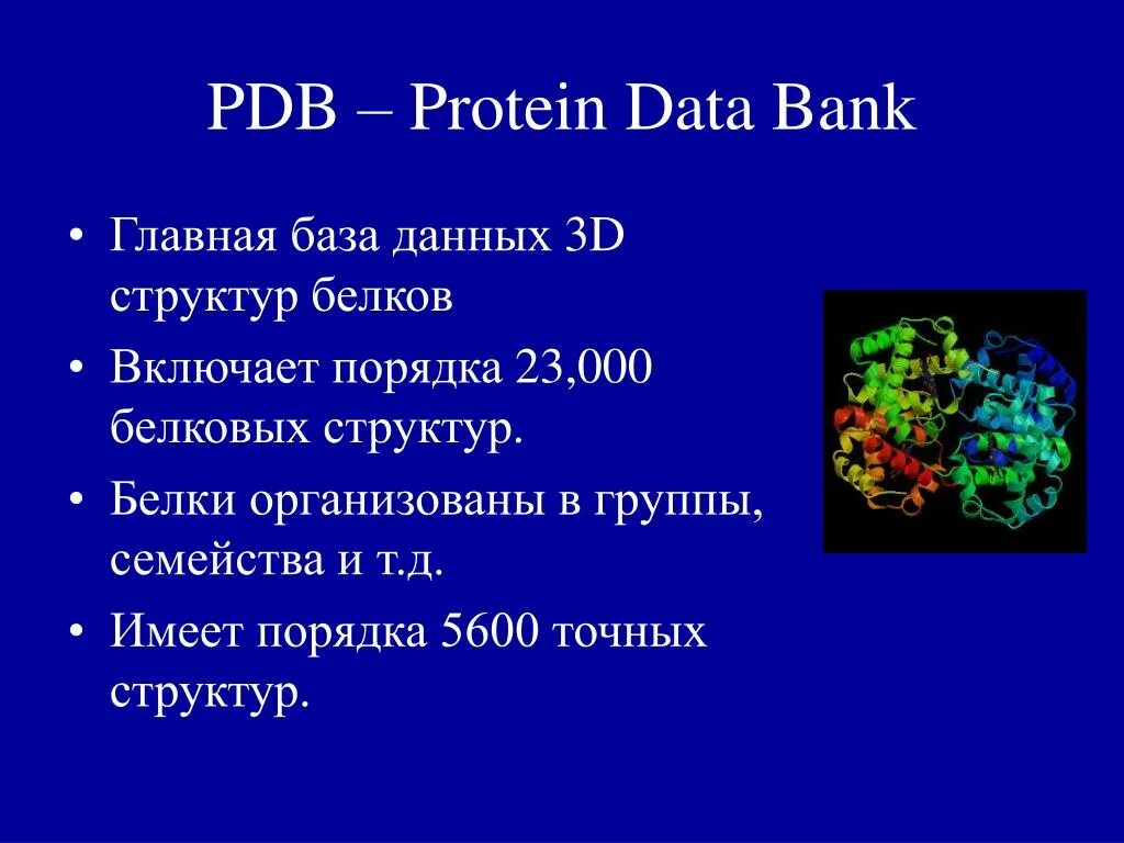 Имеет д. Базы данных белков. PDB белки. PDB база данных белков. PDB Protein data Bank.