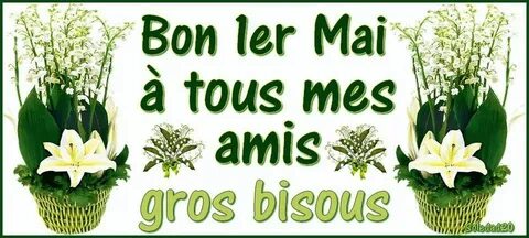 Bon 1