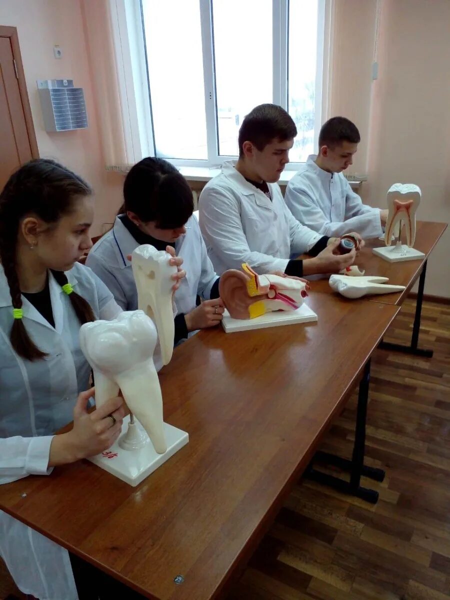 Оборудование для медицинского класса в школе. Проект медицинский класс в школе. Медицинский класс в школе. Профильные медицинские классы. Медицинские классы в белгородской области.