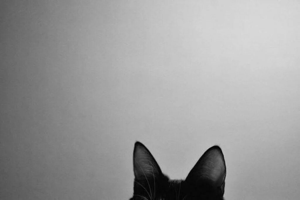 У людей так бывает. Психологические цитаты. Психология фразы. Афоризмы психология. Цитаты психологов.