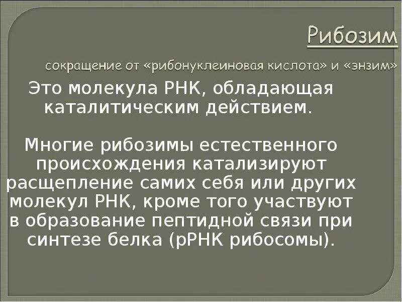 Каталитическая рнк. Рибозимы это ферменты. Ферментативная активность РНК. Рибозимы.. Рибозимы биохимия. Рибозимы их свойства и особенности.