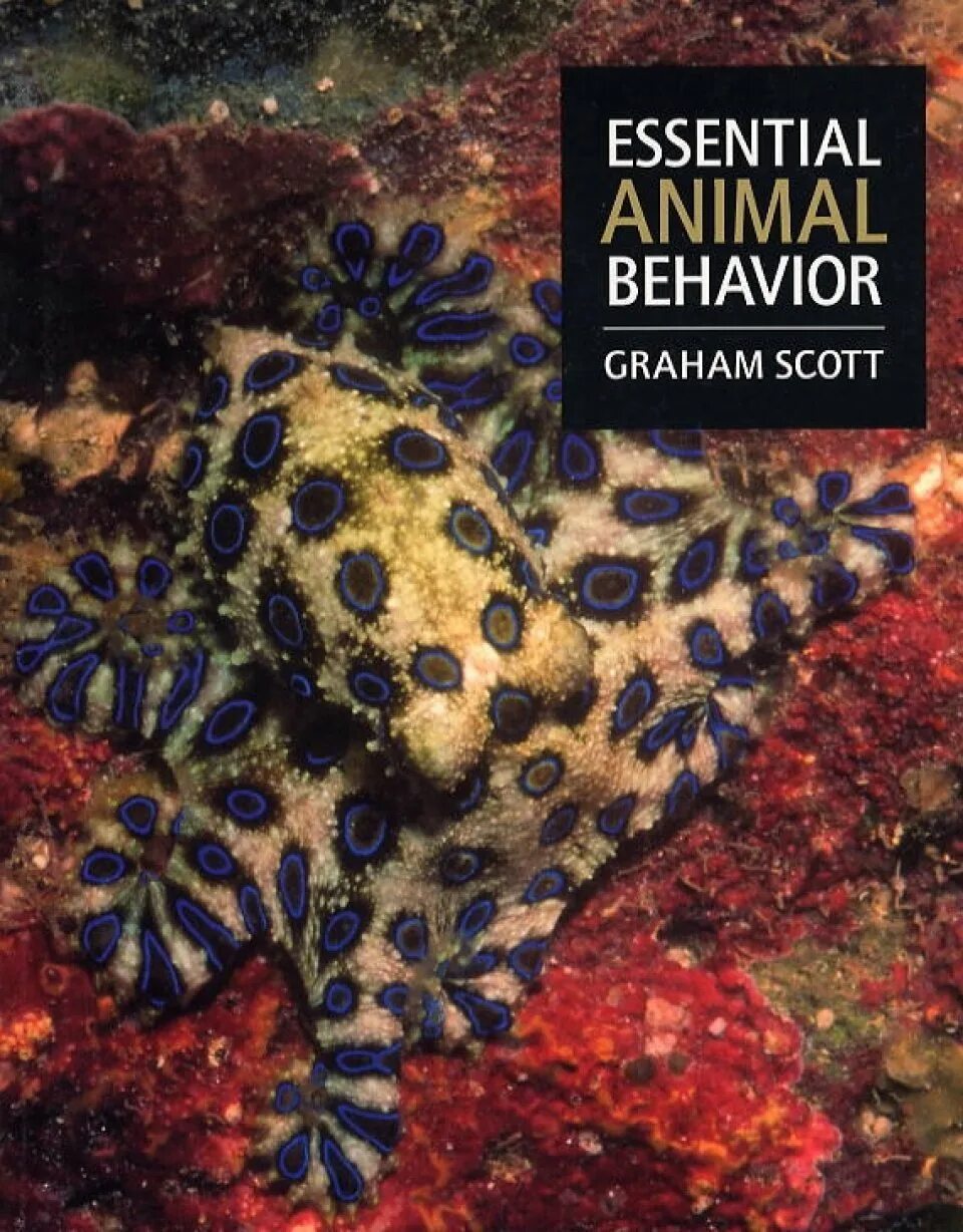 Animal behaviour