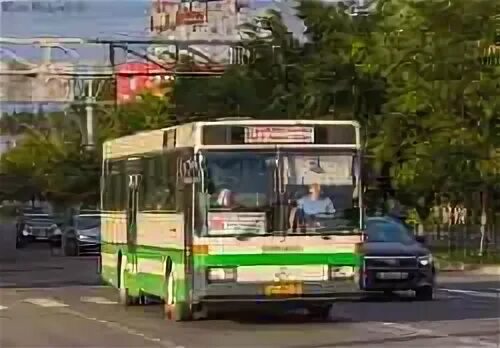 Автобус вологда минькино