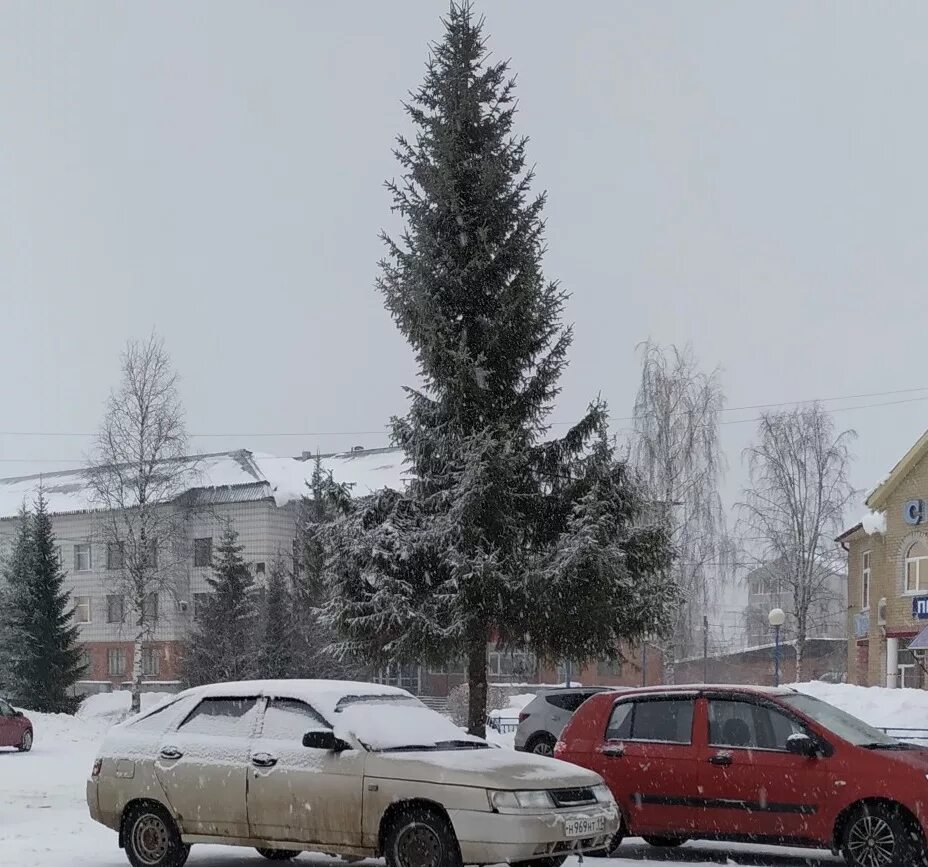 Айкино Сыктывкар. Коми елочки. Айкино фото. Новый год в Айкино. Понравится елка