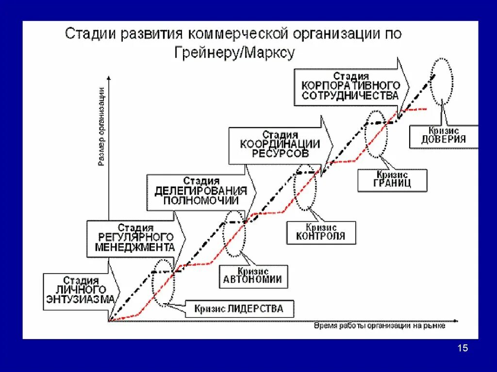 Пятый этап цикла развития предприятия. Этапы развития организации схема. Этапы формирования организации. Стадии развития предприятия или этапы.