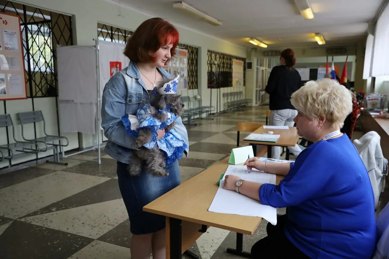 Приходят впервые голосующие. Голосование впервые. Голосование фото студентов. Проголосовал впервые. Впервые голосующие в Бурашево.