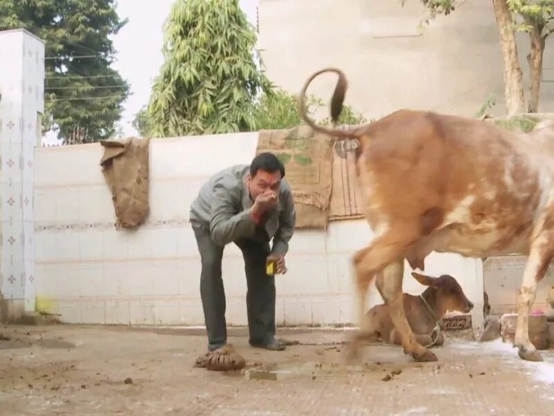 Парни пьющие мочу видео. Пил мочу. Излеченный мужчина. Девочка пьет свою мочу. Малахов уринотерапия.