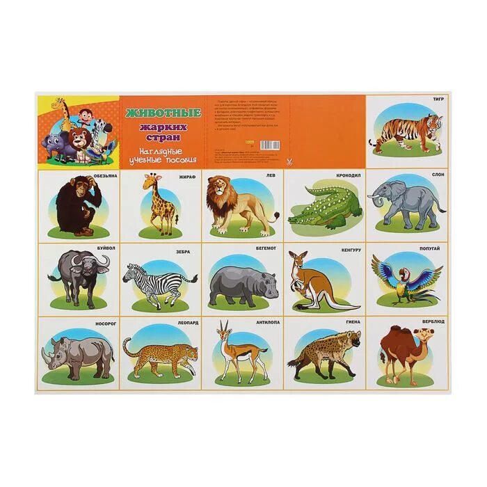 Животные теплых стран карточки для детей. Животные тёплых стран. Список жарких стран. Список жарких стран. Животные жарких стран демонстрационный материал.