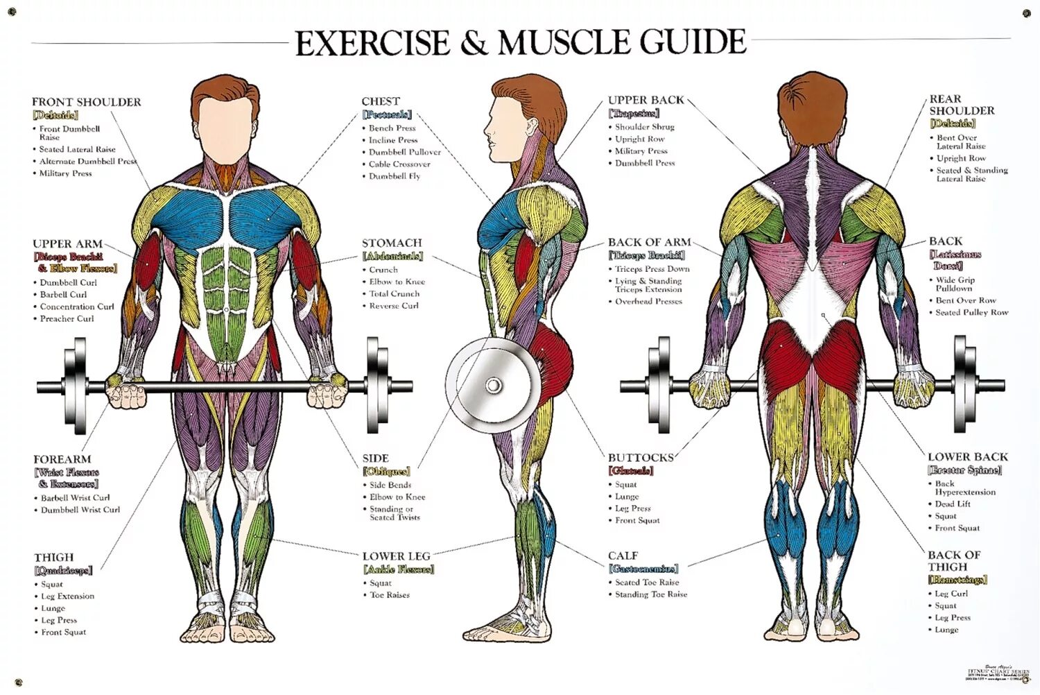 Reverse guide
