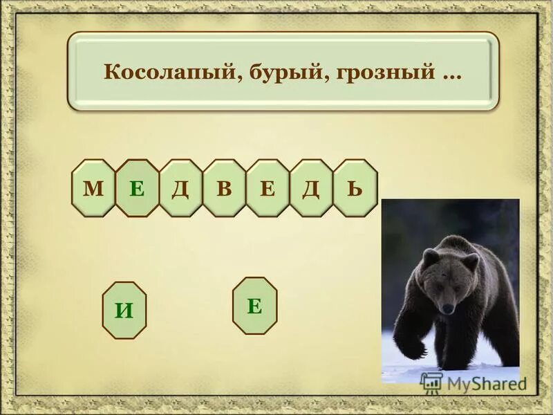 Слово буквенный разбор слова медведь