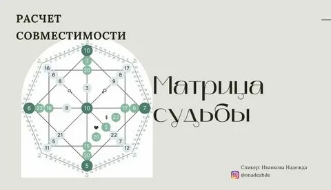 Поведение мужчины в матрице совместимости