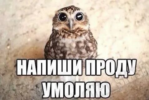 Проду видео
