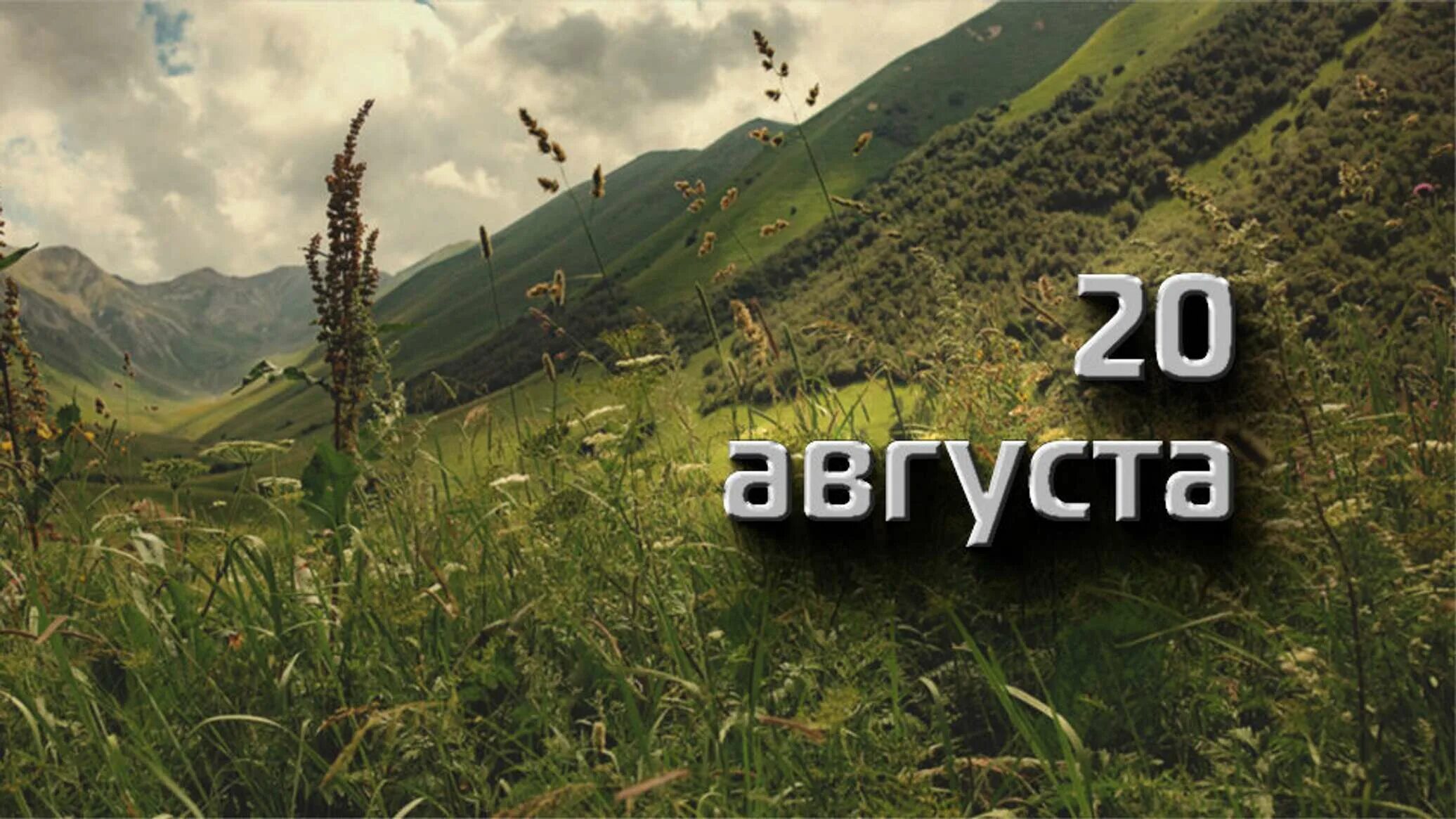 20 Августа. 20 Августа картинки. 20 Августа календарь. Коричневый 1 1 20 август 2021