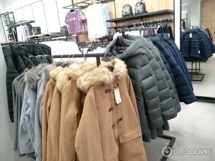 Золла благовещенск