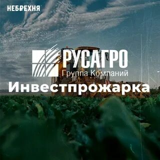 Небрехня
