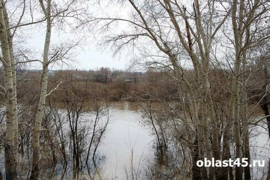 Уровень воды в реке тобол звериноголовское. Река Тобол Звериноголовский район. Уровень воды в реках Курганской области. Уровень воды в реке Исеть Далматово. Уровень воды в Тоболе резко растет.