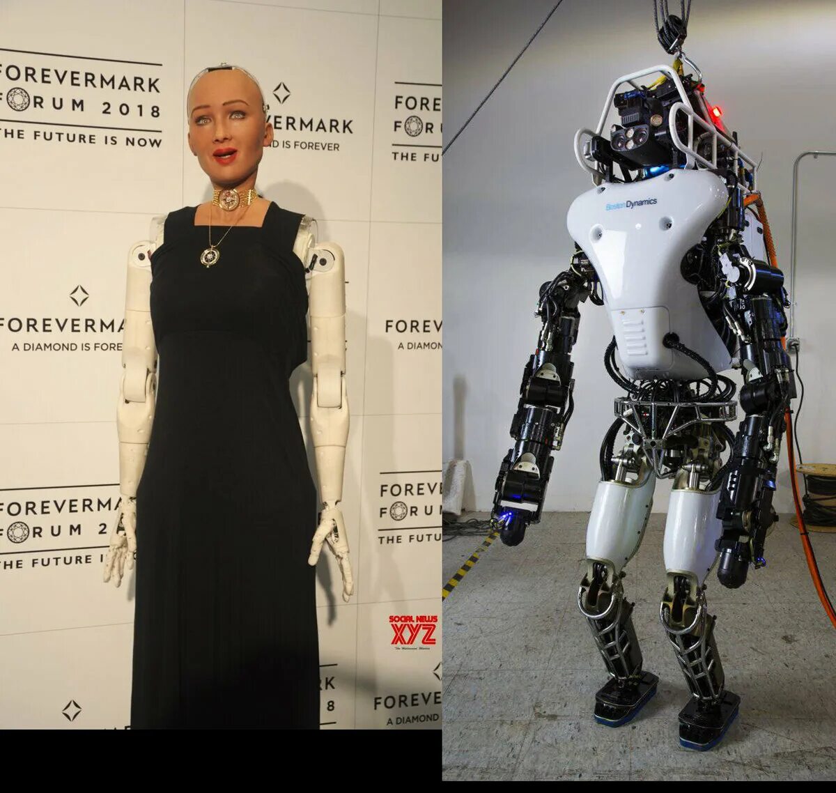 Хьюман роботикс. Bina48 робот. Современный робот человек. Робот типа человека. Андроид человекоподобный робот.