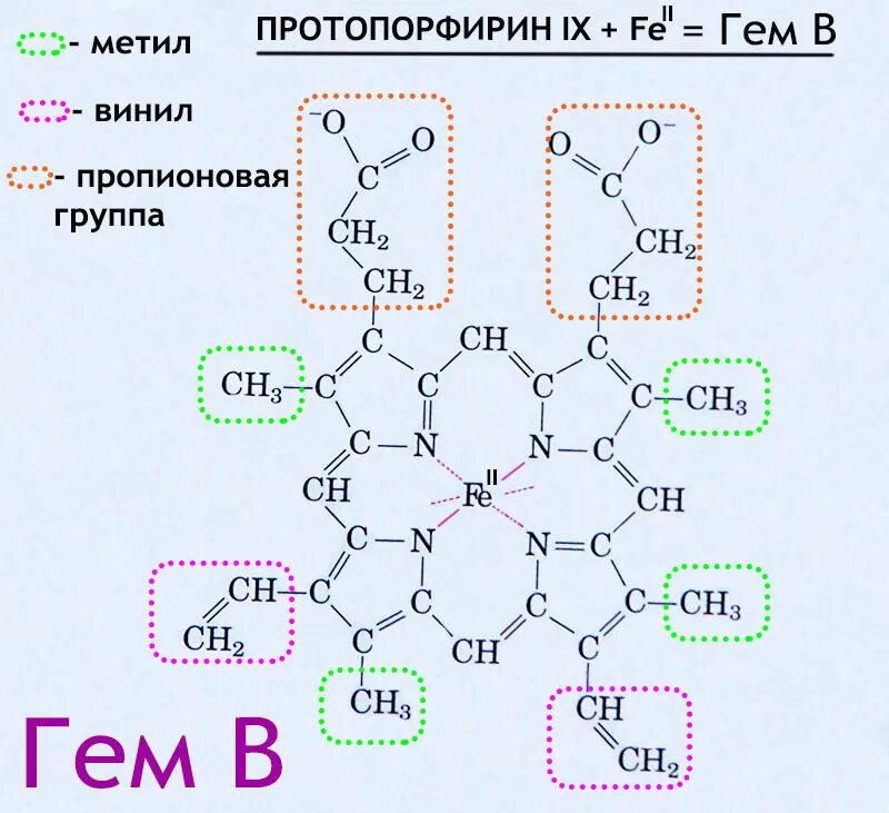 Протопорфирин. Структура гем протопорфирин 9. Строение гема (протопорфирин IX). Гем структура. Гем b формула.