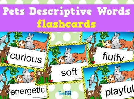 Pets vocabulary