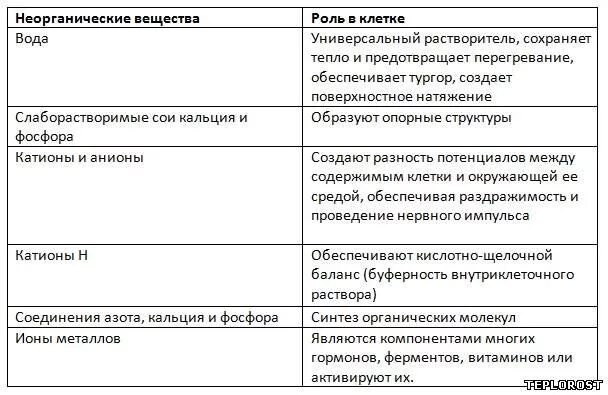 Функция органических и неорганических веществ. Вещества клетки 5 класс биология таблица. Неорганические вещества клетки таблица 10 класс биология.