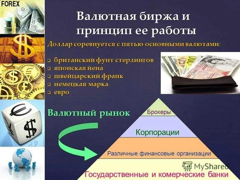 Валютный рынок. Валютная биржа. Биржевой валютный рынок. Forex и валютная биржа.