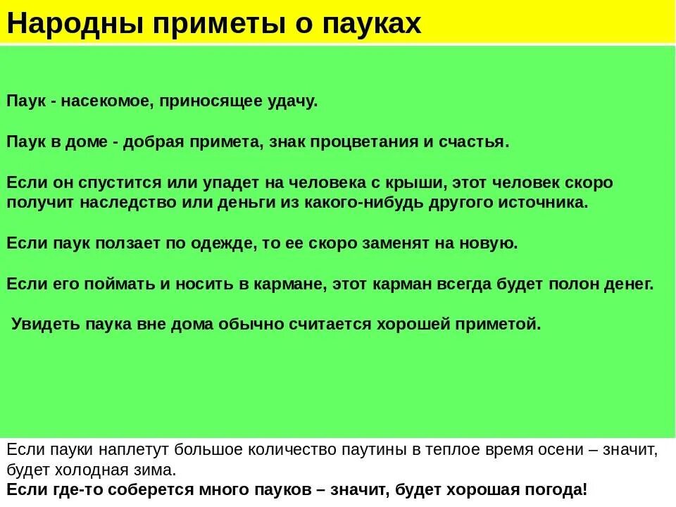 Увидеть дома паука примета. Приметы. Народные приметы. Приметы и поверья. Приметы плохие и хорошие про людей.