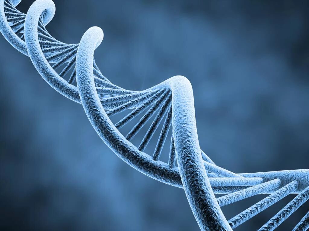 Генетика ДНК. Геномная ДНК. Генетика наследственность. Спираль ДНК.