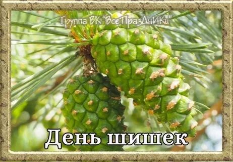 День шишки