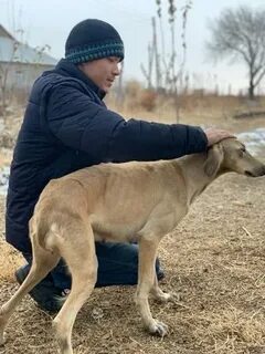 DIY автокөлік тенті