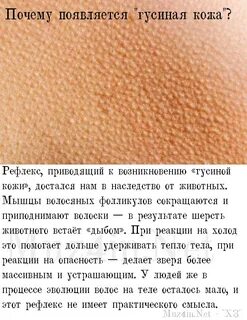 Почему кожа пупырышками