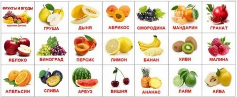 Перечислите ягоды и фрукты