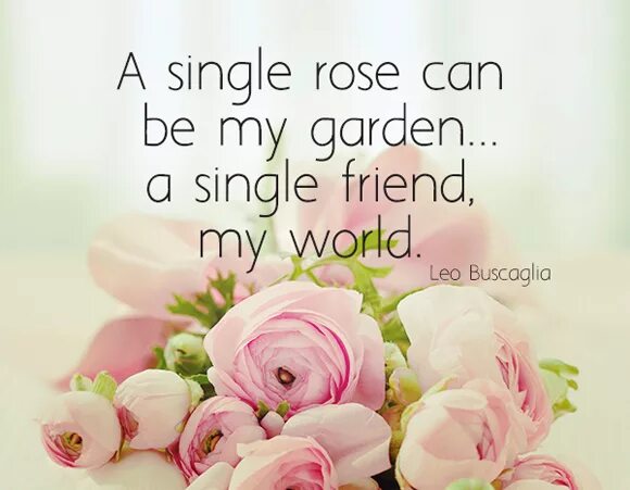 A Single Rose can be my Garden a Single friend, my World. Leo. Single Rose.