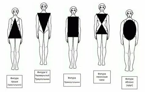 Page 2 Body Shapes Images - Free Download on Freepik