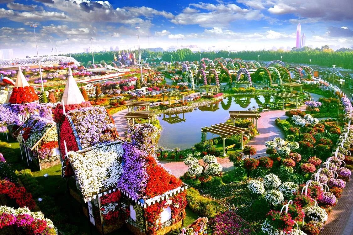 Самый цветочные город. Цветочный парк дубай miracle garden. Сад в дубае миракл гарден. Гарден парк дубай. Миракл гарден парк цветов дубай.