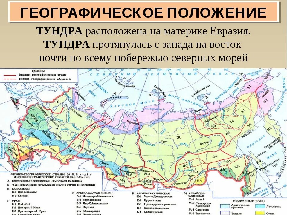 Какая природная зона преобладает в евразии. Зона тундры на карте России. Географическое положение тундры в России. Географическое положение тундры в России карта. Географическое расположение тундры на карте.