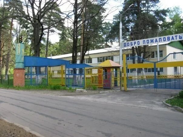 Детский лагерь «зеленый огонек» спб. Лагерь зеленый огонек дубовка. Зелёный огонёк лагерь луга. Лагерь огонек воронеж. Зелёный огонёк лагерь дедеркой.