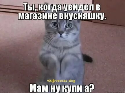 Песня женя прости