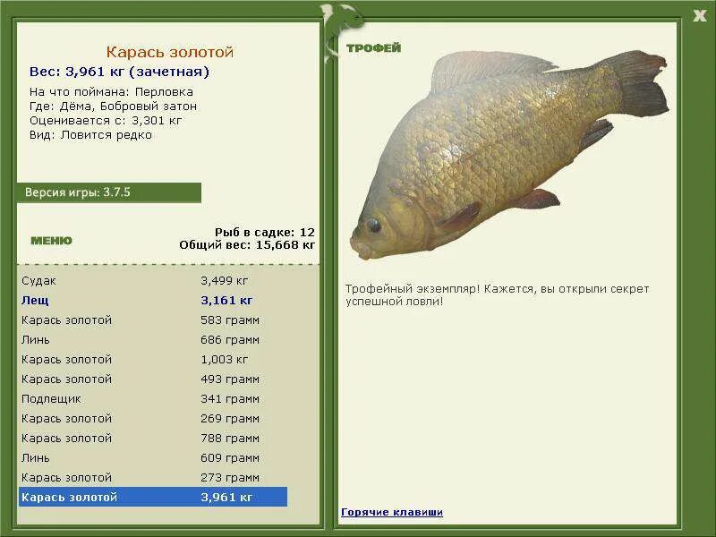 Какой вес карася. Русская рыбалка 3 7 4 Рыбхоз Константиново карась золотой. Русская рыбалка 3 Западный Затон. Рыбхоз Константиново русская рыбалка. Сиамский Карп Деревенские просторы.