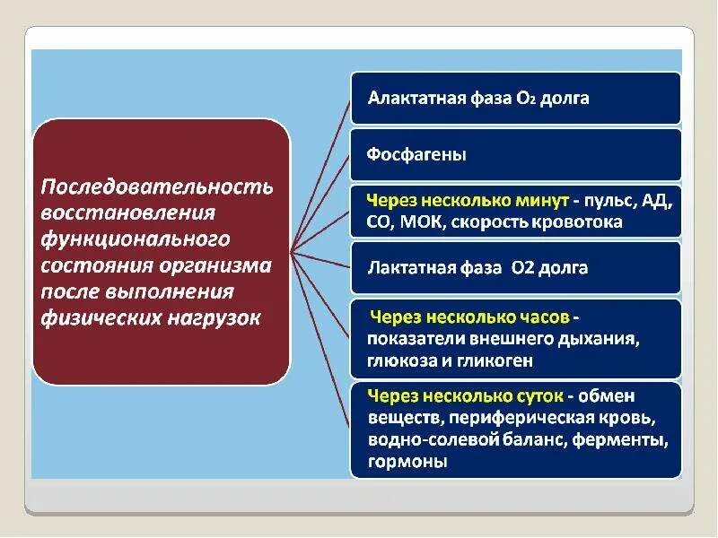 Долгом называют. Быстрая фаза о2 долга называется. Лактатная фаза кислородного долга. Алактатная работоспособность. Медленная фаза о2-долга называется.