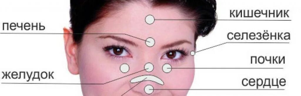 прыщи женщины причины. зоны высыпания прыщей на лице. прыщи на лице зоны внутренних органов. прыщи на подбородке у женщин. схема прыщей на лице.
