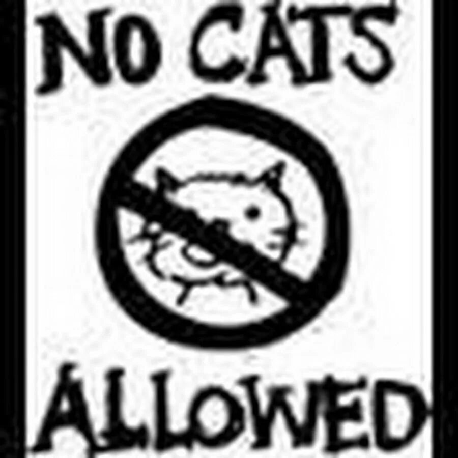 No Cats. Ноу Кэт символ. Allow Cat. Рандом кошка.