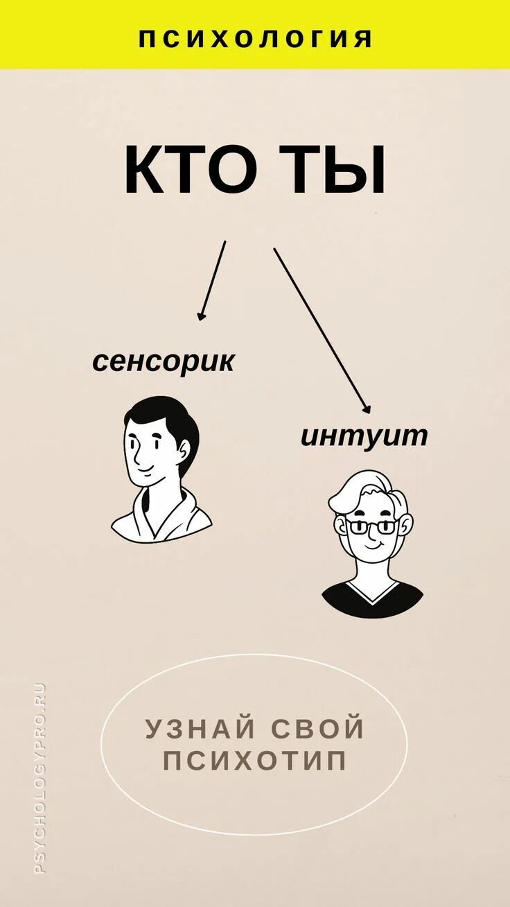 Тип сенсорик. Сенсорик или интуит. интуит соционика. сенсорики и интуиты. сенсорик или интуит как определить.